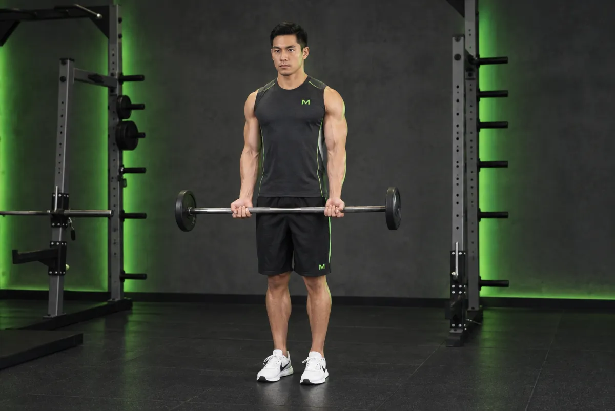 Cuốn tạ đòn (barbell curl) (Bắt đầu)