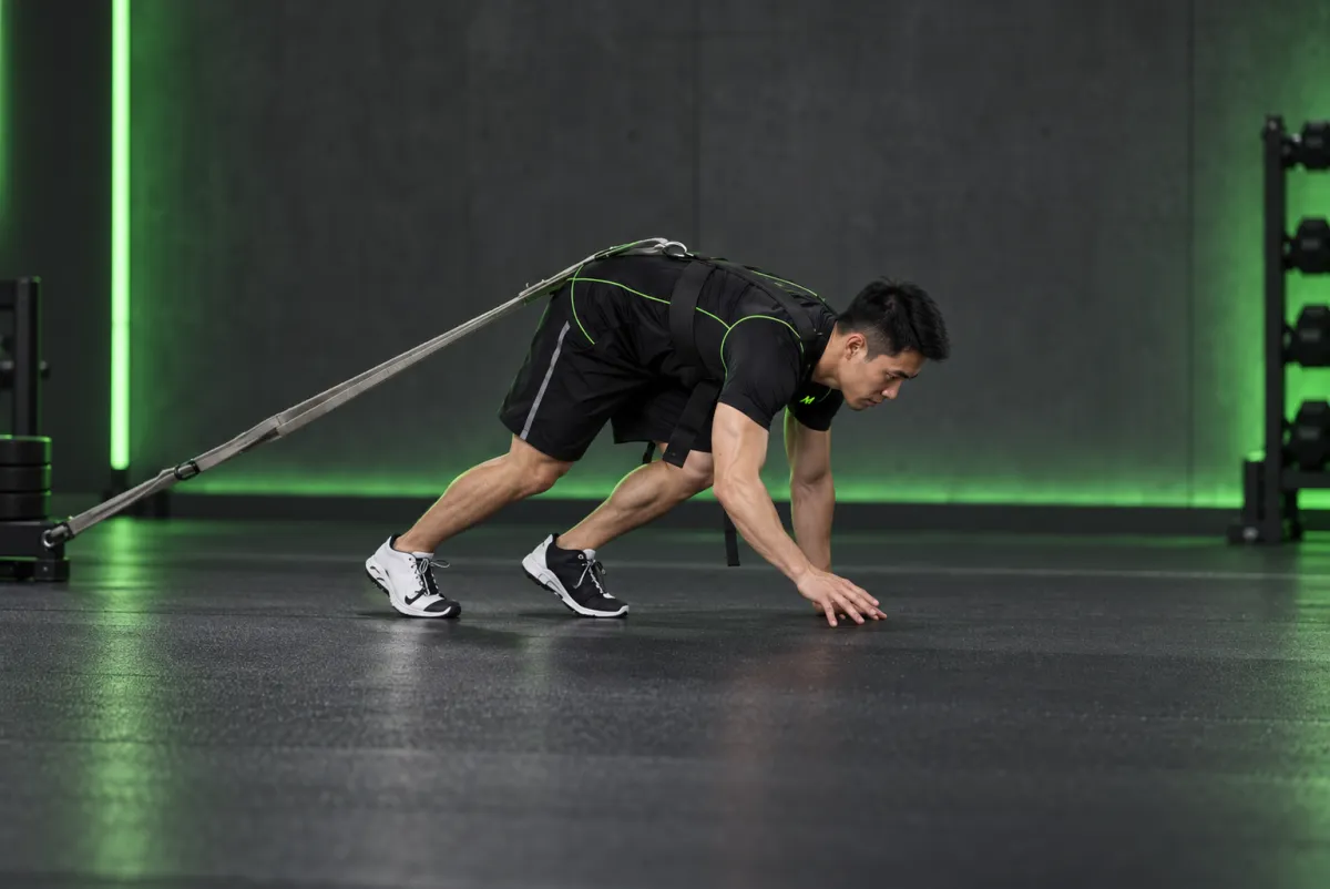 Bò gấu kéo xe trượt (bear crawl sled drags) (Bắt đầu)