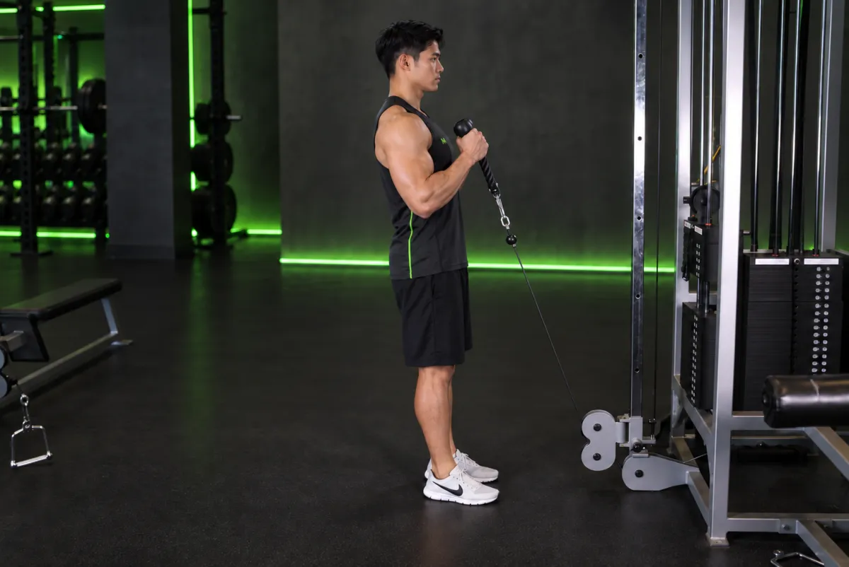 Cable Hammer Curls - Rope Attachment (End)