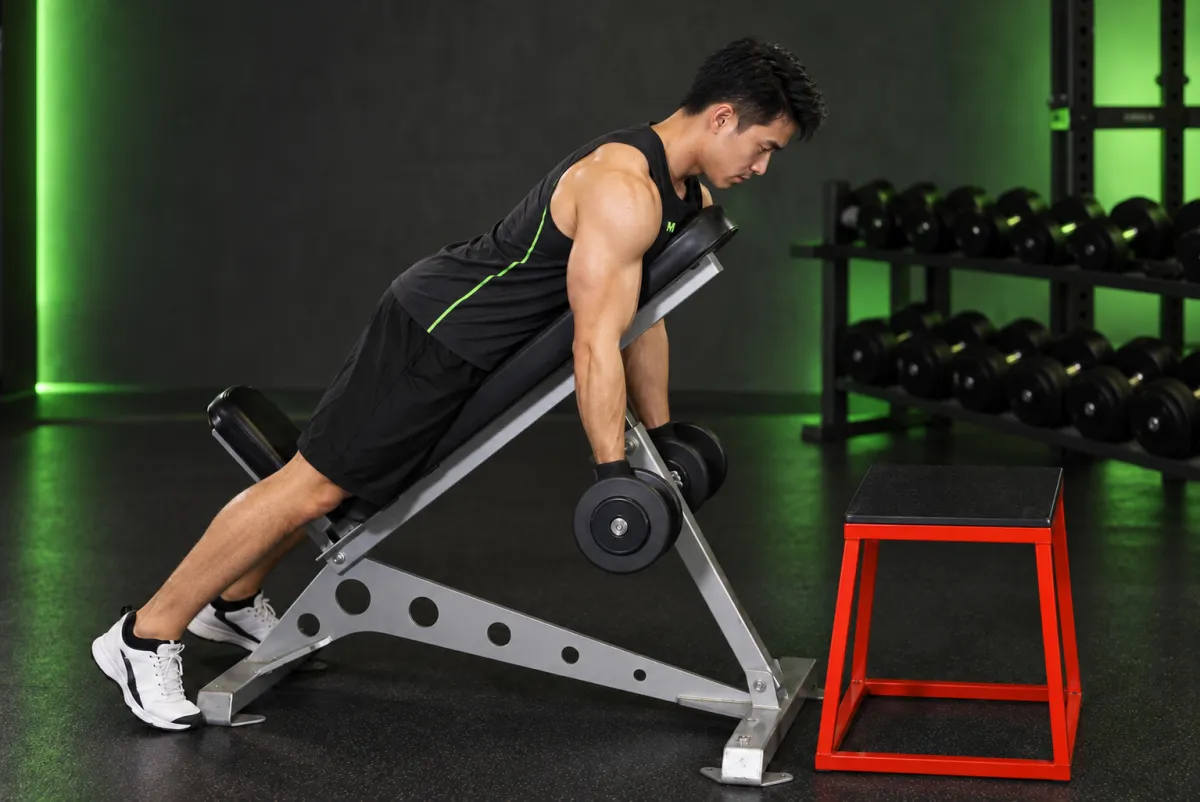 Dumbbell Prone Incline Curl (End)