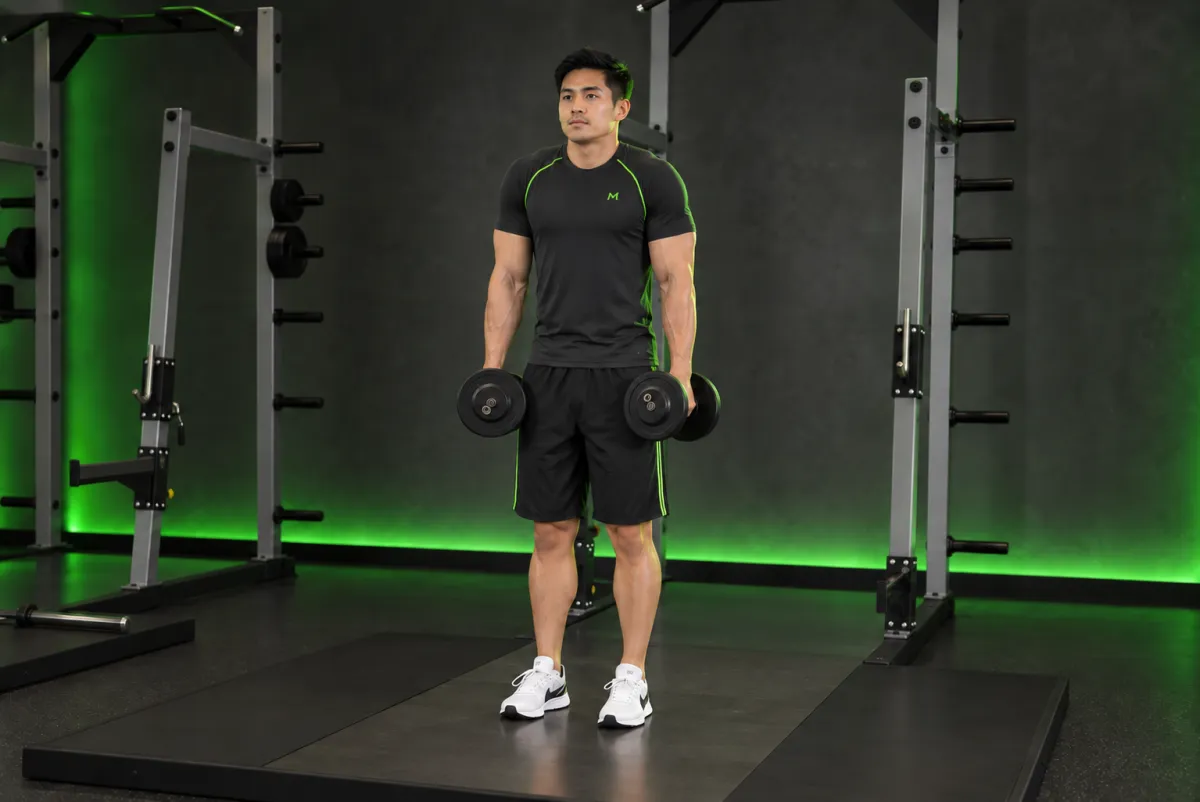 Nhún vai với tạ đơn (dumbbell shrug) (Kết thúc)