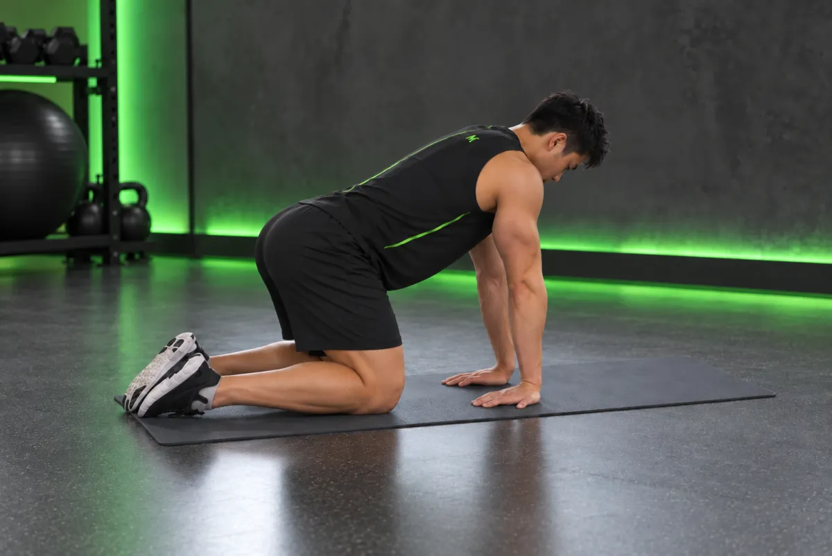 Kneeling Forearm Stretch (End)