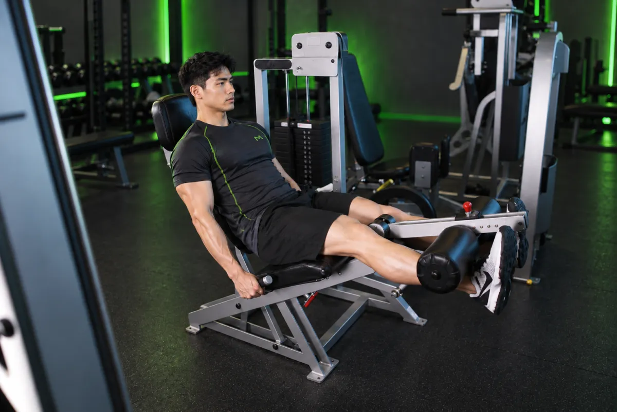 Đá đùi trước (leg extension) (Kết thúc)