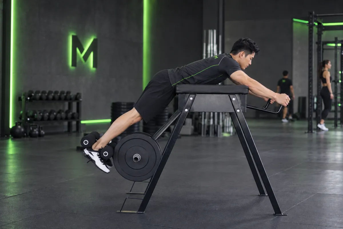 Gập lưng ngược (reverse hyperextension) (Kết thúc)