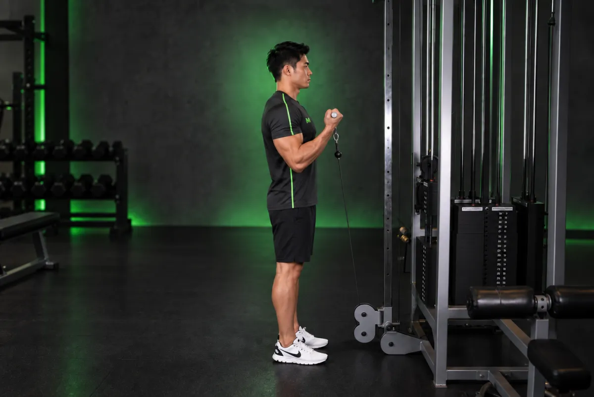 Standing Biceps Cable Curl (End)