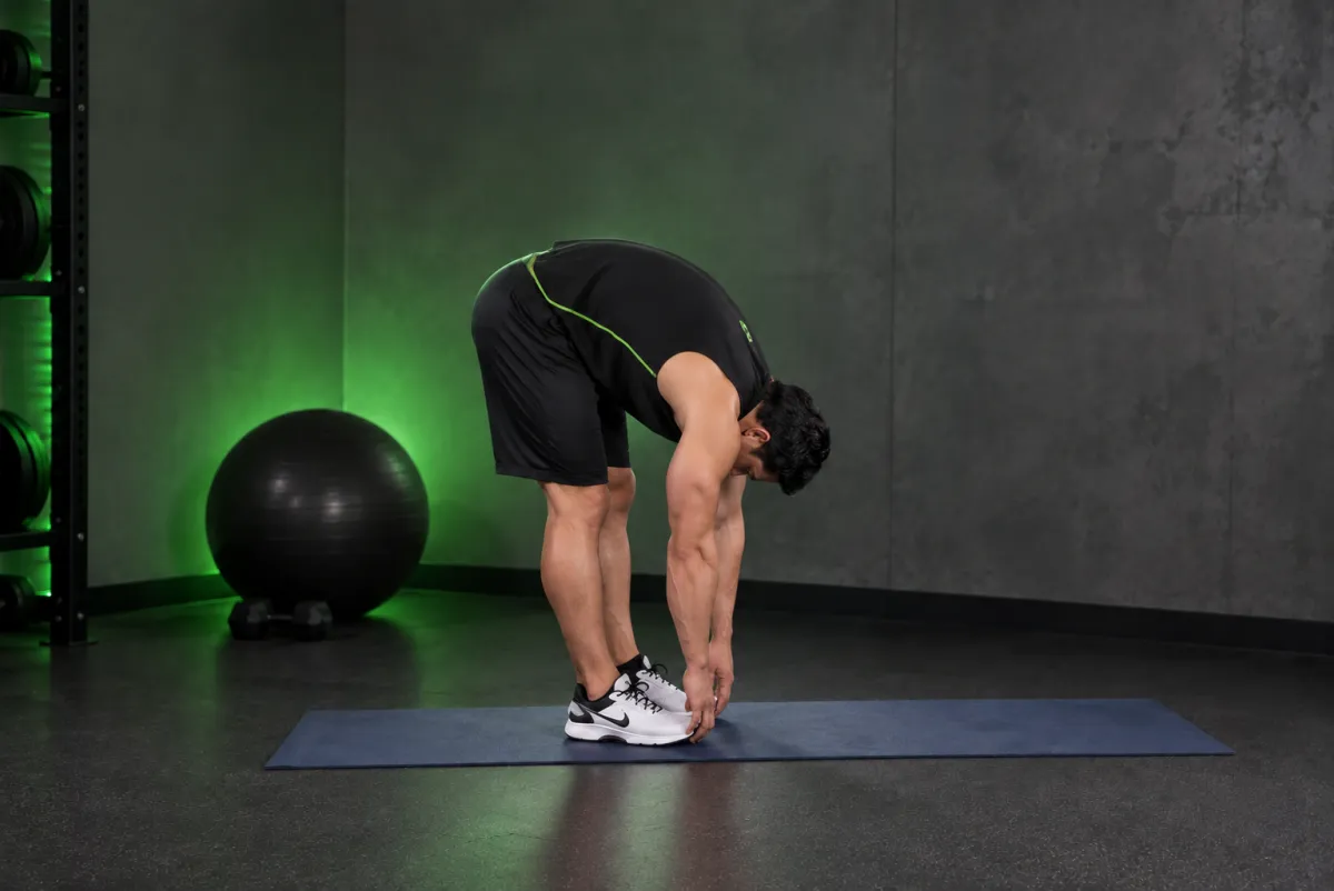 Standing Toe Touches (End)